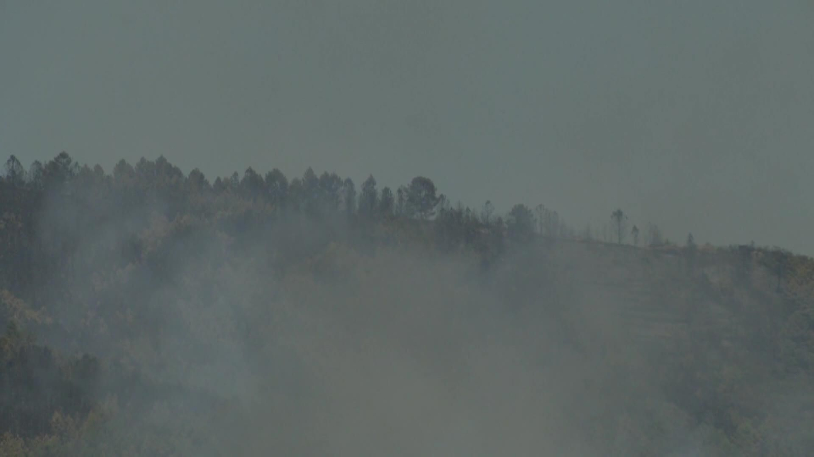 web incendio las hurdes tarde