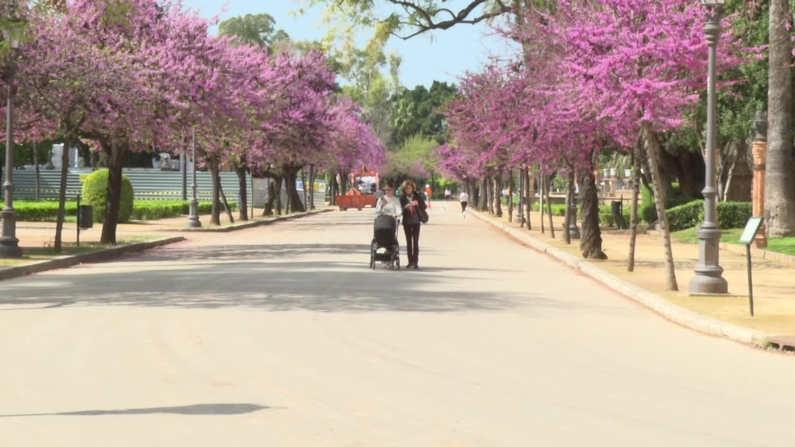 X071-EDI VARIOS ALERGIAS