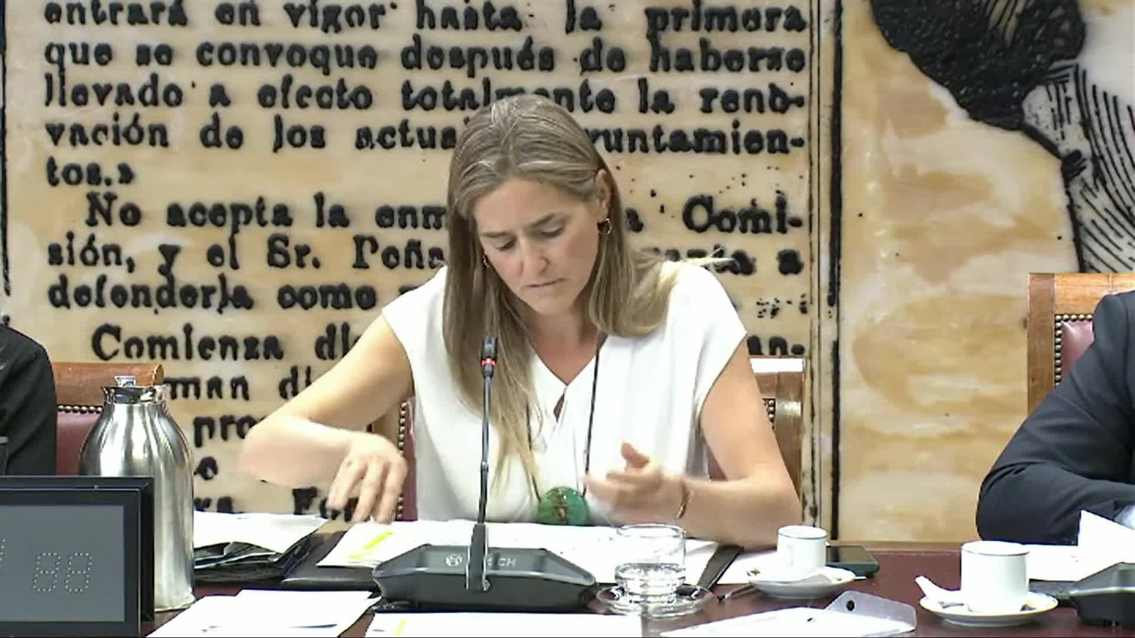 X067-SENADO SARA AAGESEN COMISION TRANSICION ECOLOGICA 2