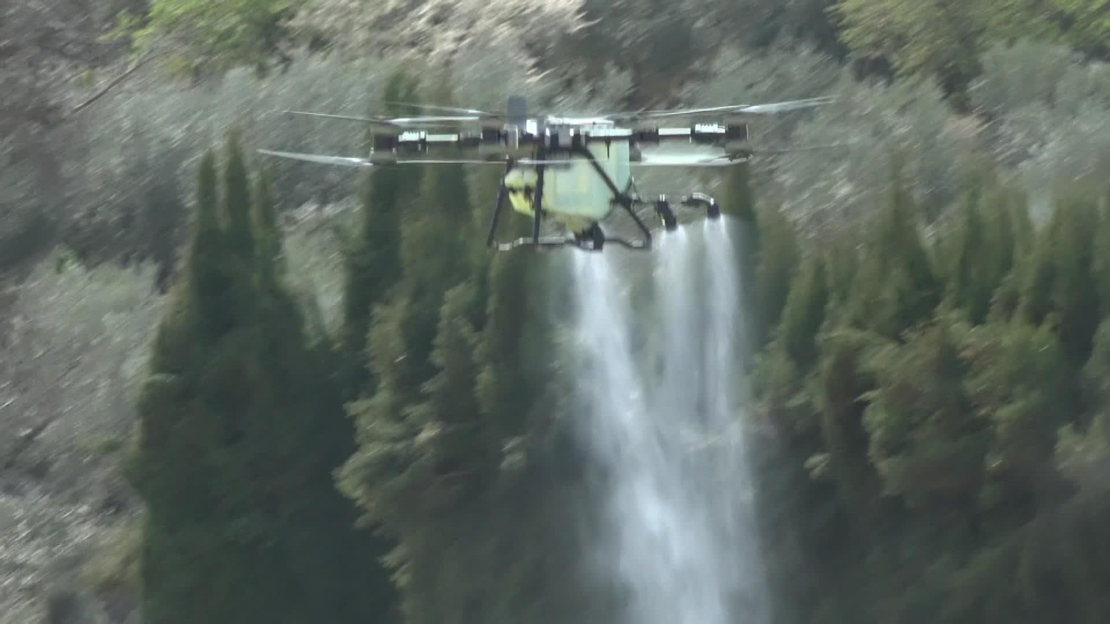 web consecuencias eco