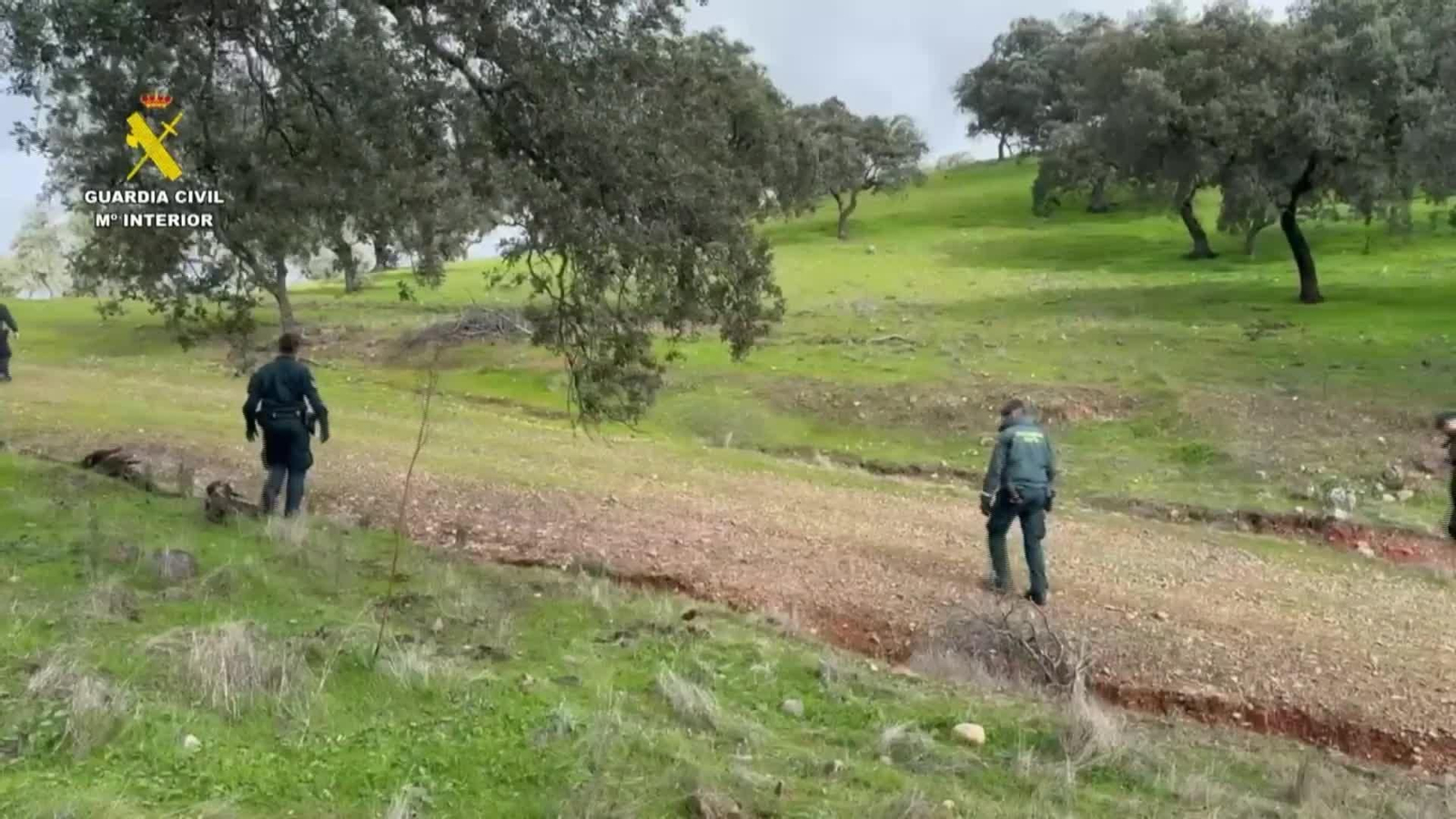 J053-IMAGENES GC BUSQUEDA ADAMUZ