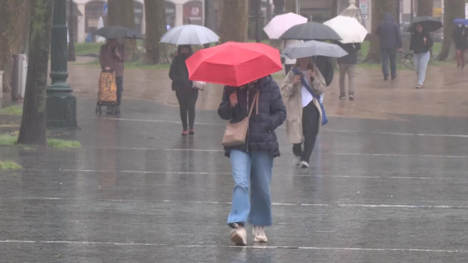 X085-EDI VARIOS TEMPORAL DE VIENTO Y FRIO