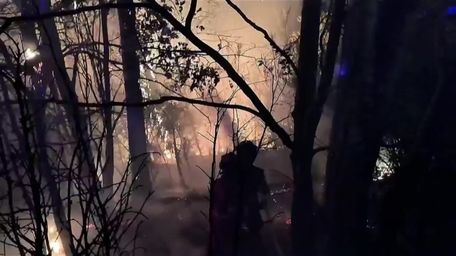 va imagenes ume huesca