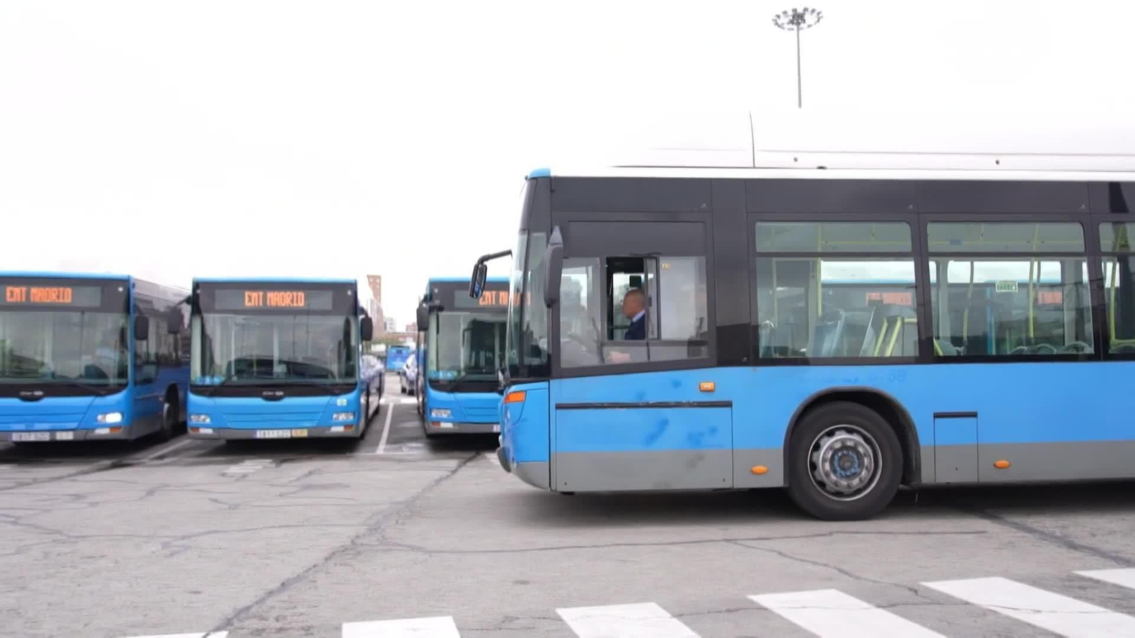 web buses y almeida ok