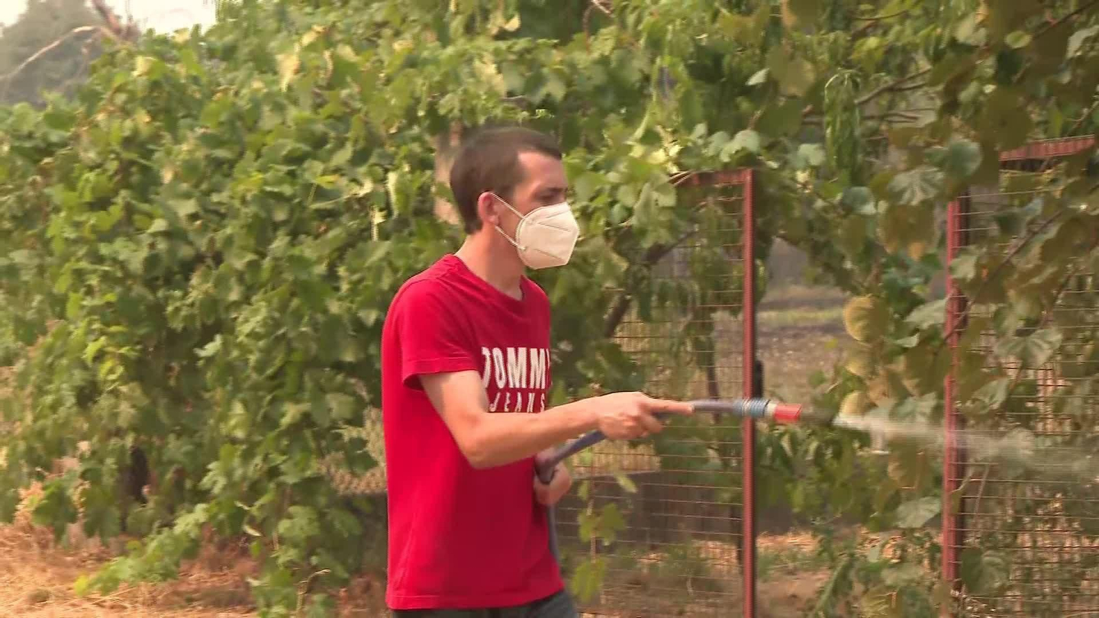 V014-OURENSE SEGUIMIENTO INCENDIO CUALEDRO