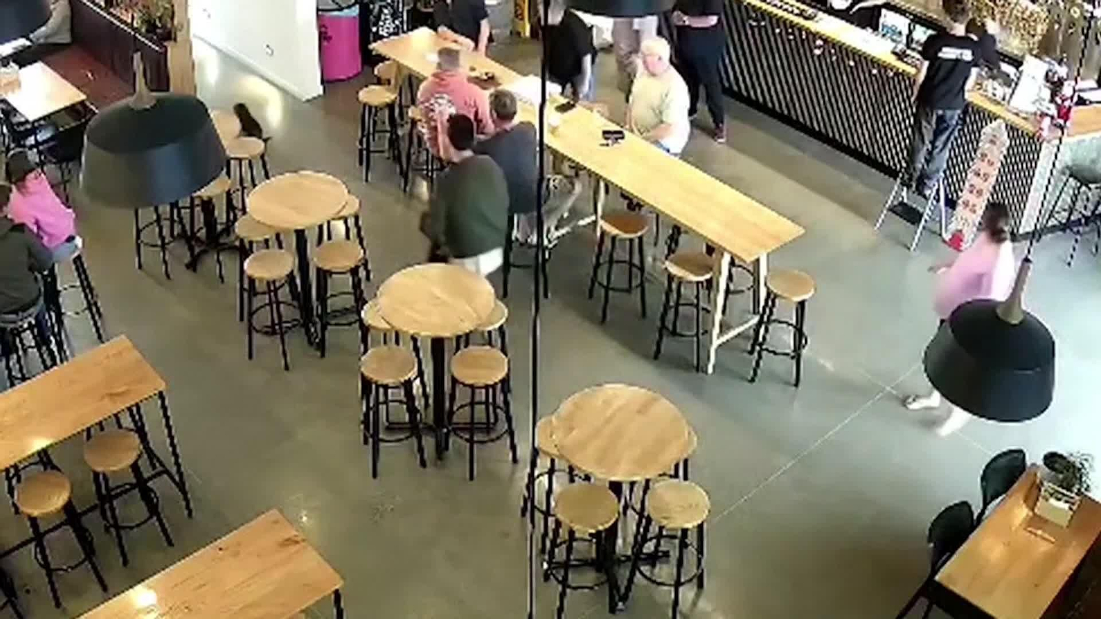 va nueva zelanda foca bebe en un bar