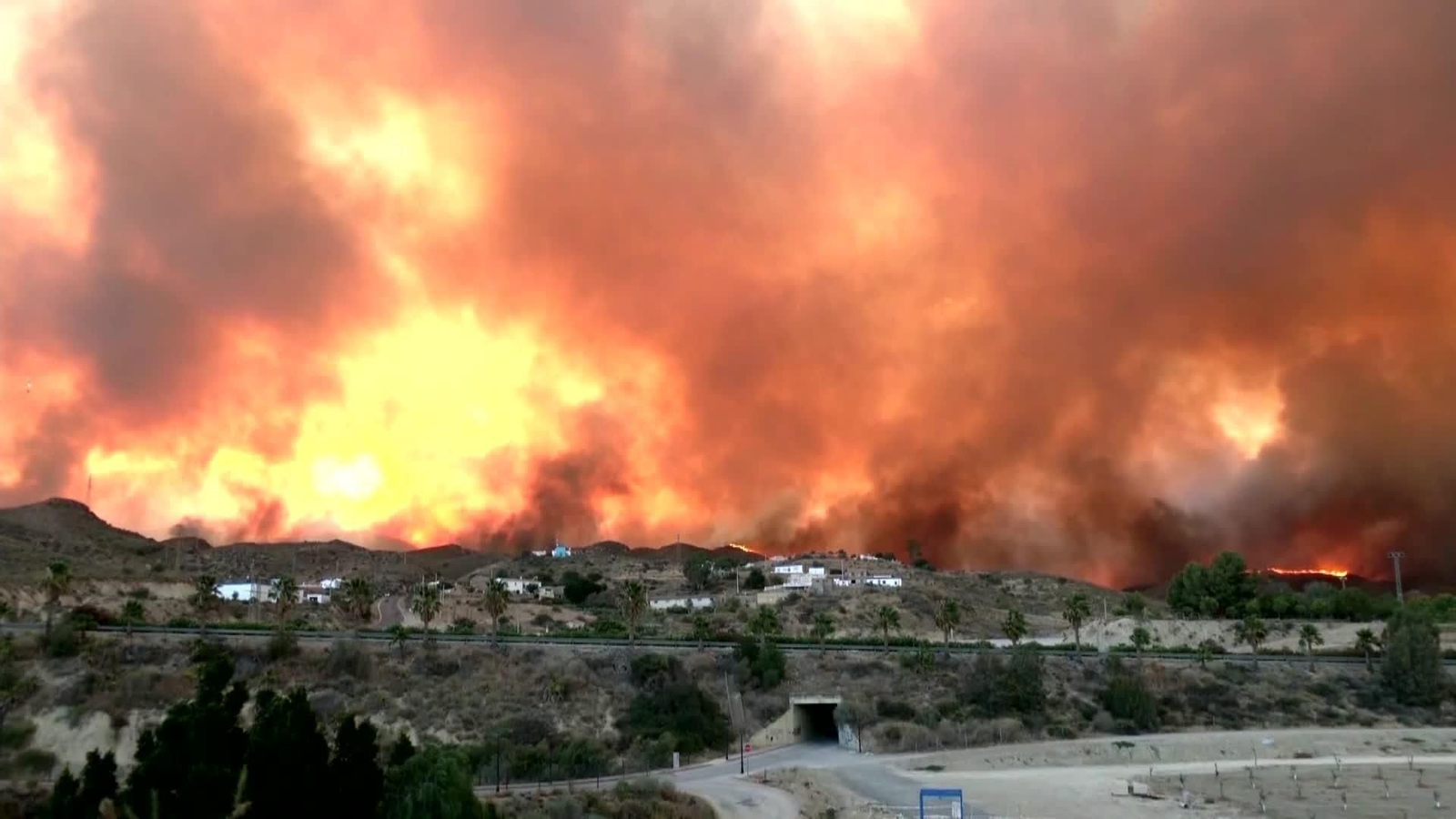 web campo arde